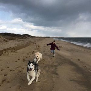 Meet your Posher, Hanna